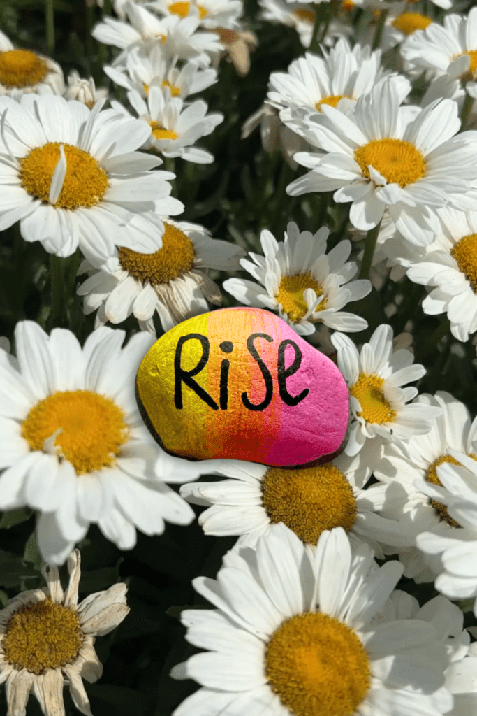 a hand-painted rock with a gradient of yellow to orange to pink, with the word RiSe written on it, surrounded by daisies