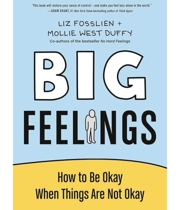 Big Feelings by Liz Fosslien and Mollie West Duffy book cover